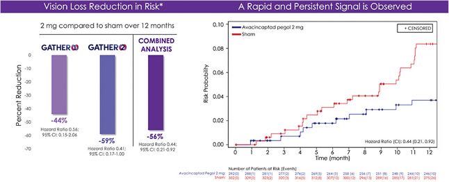 Figure 1. Post hoc time-to-event analysis from the GATHER 1/2 studies with avacincaptad showing up to a 59% risk reduction in the rate of sustained 3 or more lines of best corrected visual acuity vision loss.