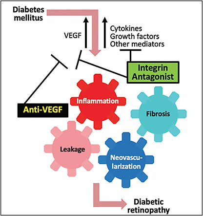 Figure 1. THR-687 is a novel, potent pan-arginine-glycine-aspartic acid integrin receptor antagonist. Integrin antagonists work both upstream and downstream of vascular endothelial growth factor (VEGF), therefore they have a potential broader efficacy than current anti-VEGF therapies.9