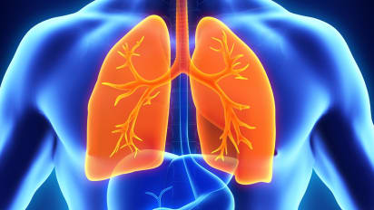 Lung Transplant Clinical Care Pathway