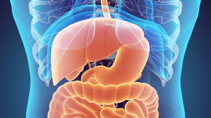 Complex Hernia Clinical Care Pathway