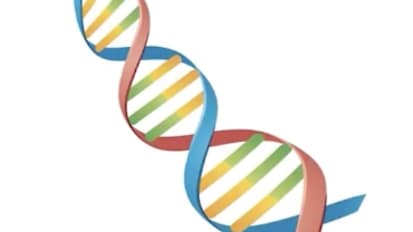 Lecture Video: Anti-coagulation Strategies (June 11, 2025)