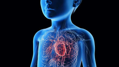 Hearing the Young Heart: A Lesson on Pediatric Murmurs