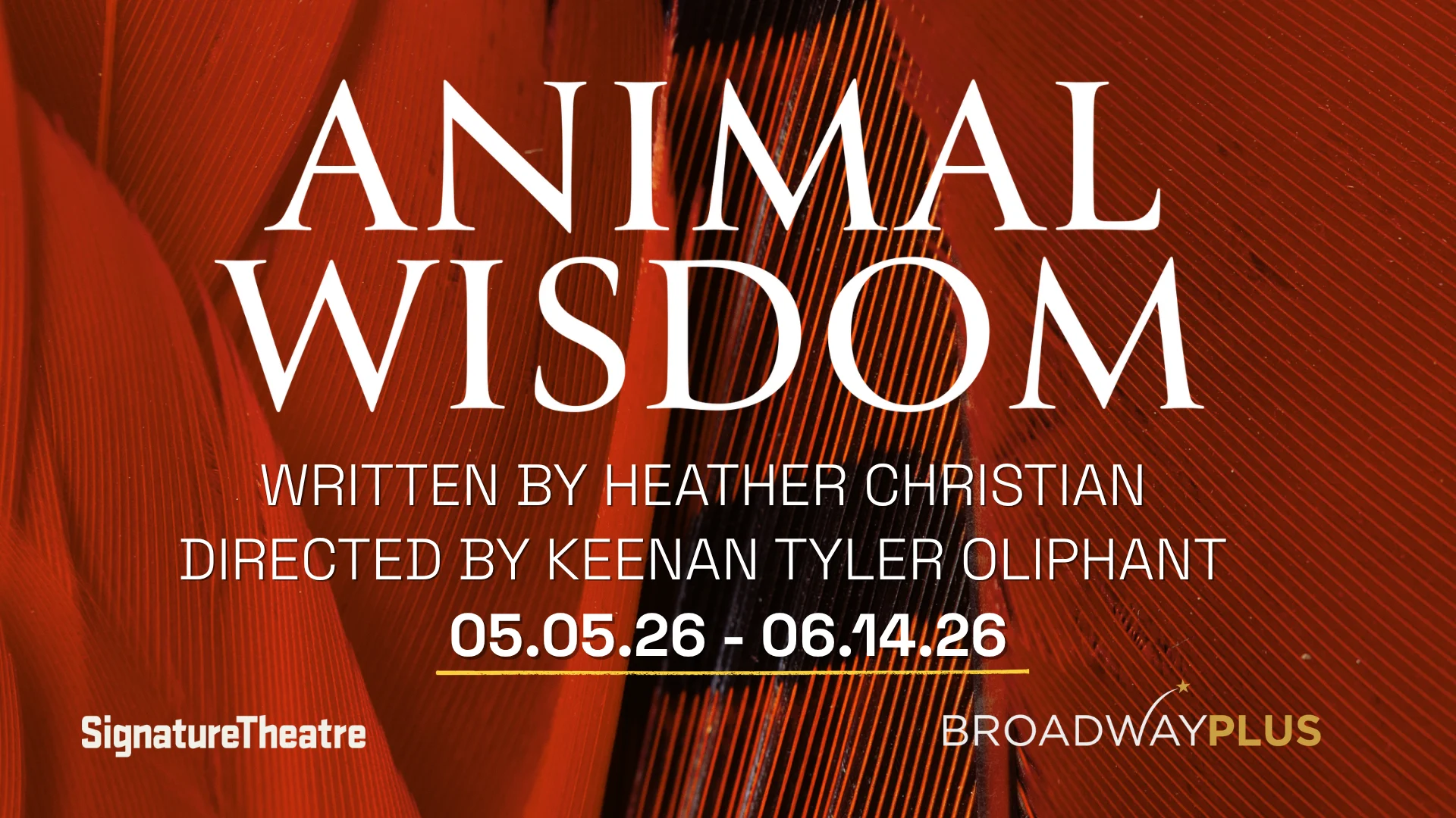 Animal Wisdom