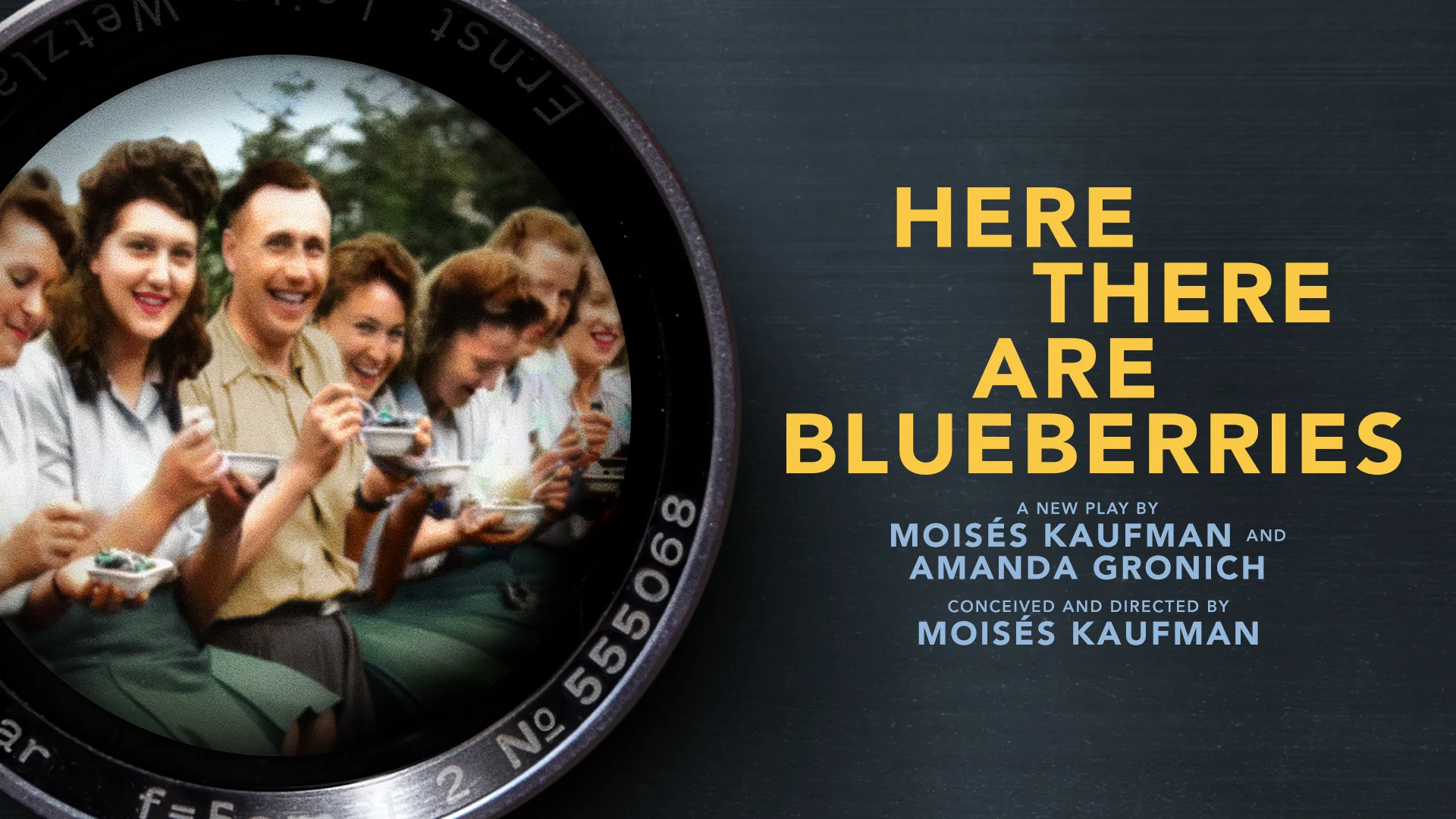 Here There Are Blueberries