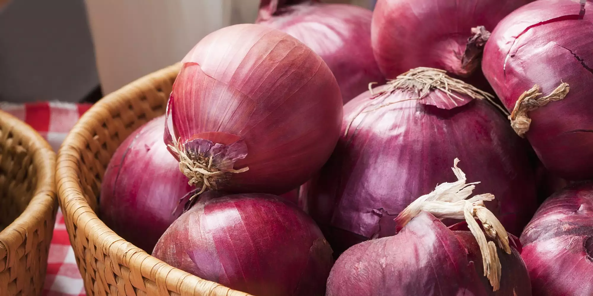 Onion (Purple)
