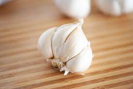 Garlic