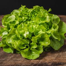 Lettuce (Head)