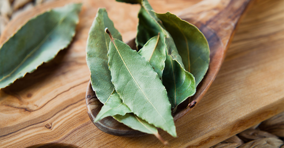 Bay Leaf