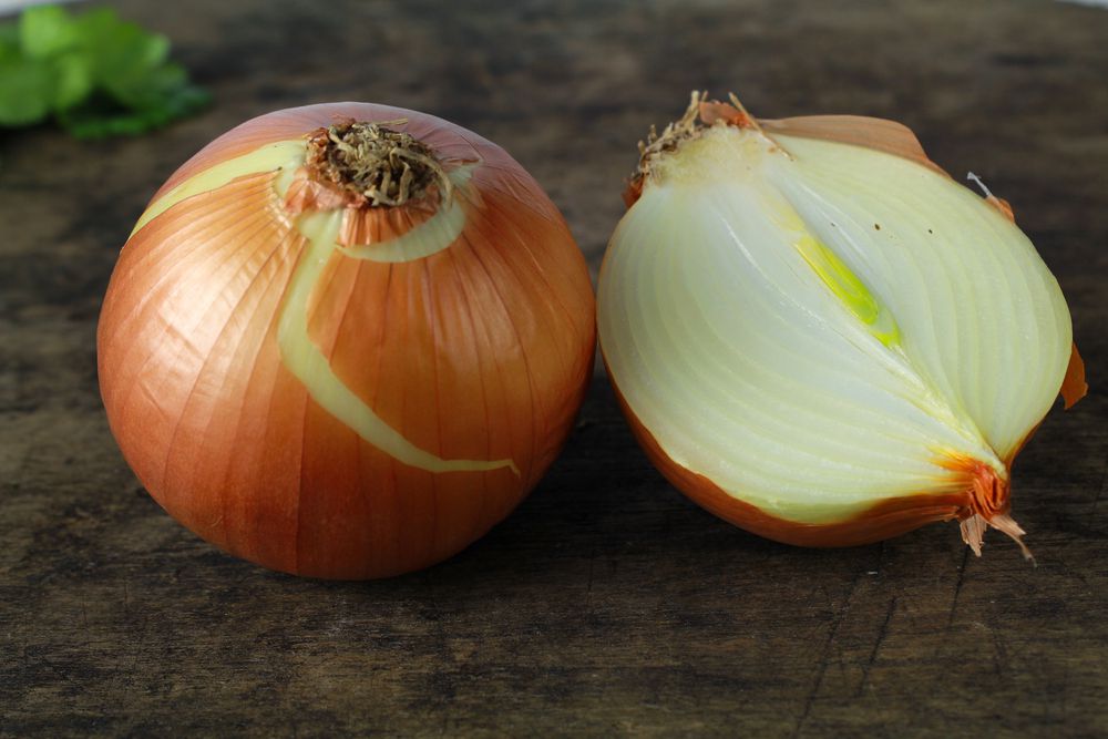 Onion (Yellow)