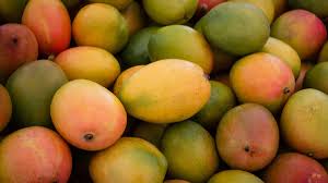 Mangos