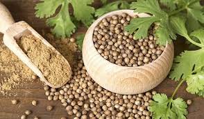 Coriander