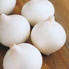 Onion (White)