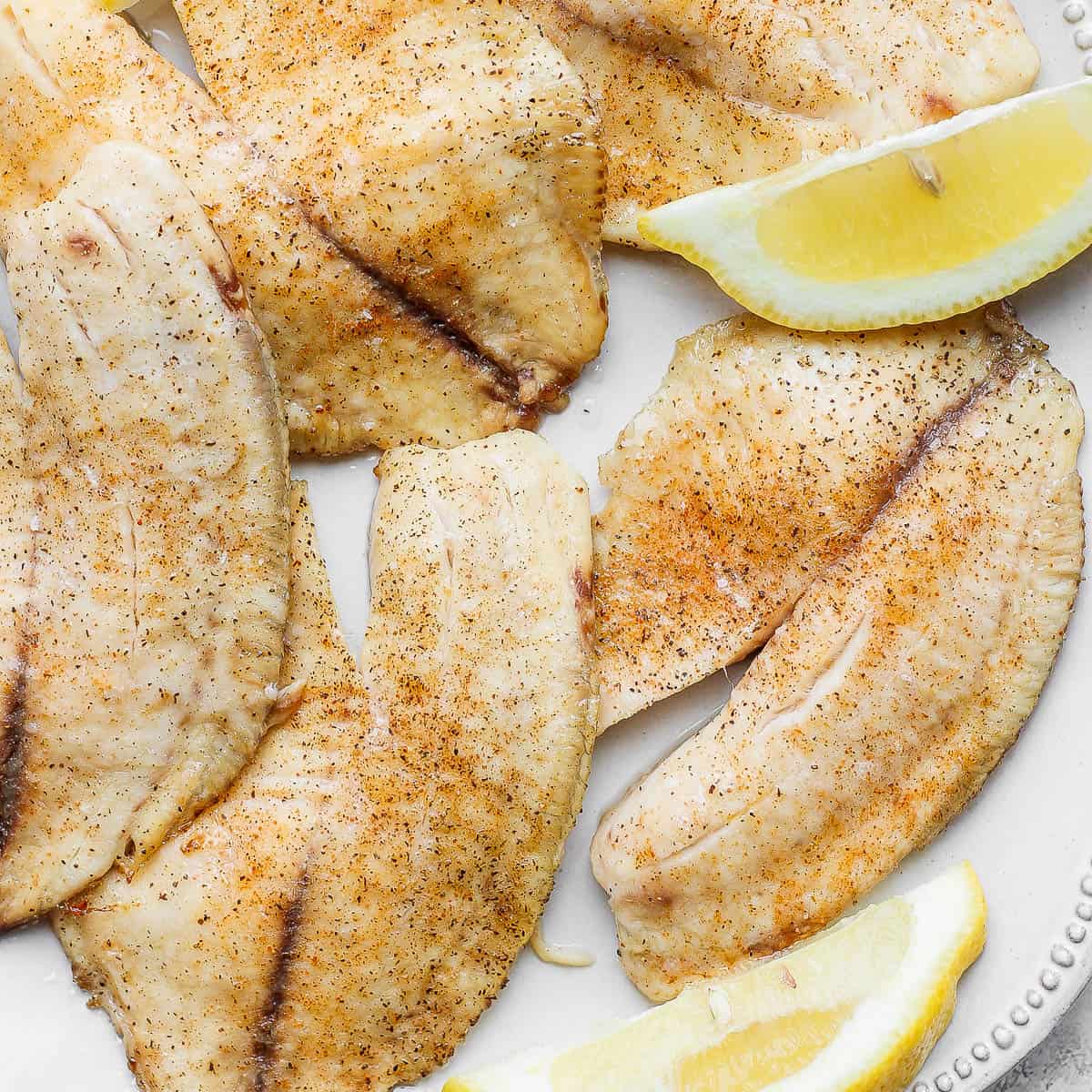 Tilapia