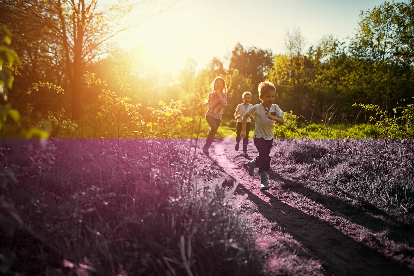 Joyeux Quatorze Juillet What You Need To Know If You Have A Home In France Brodies Llp Joyeux Quatorze Juillet What You Need To Know If You Have A Home In France Brodies Llp