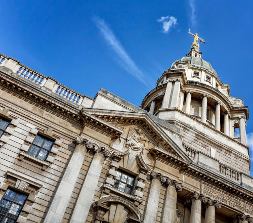 Professional Discipline & Regulation