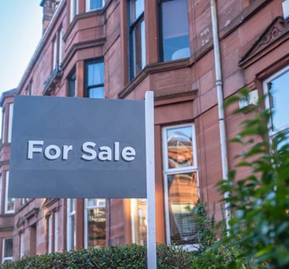 Real Estate