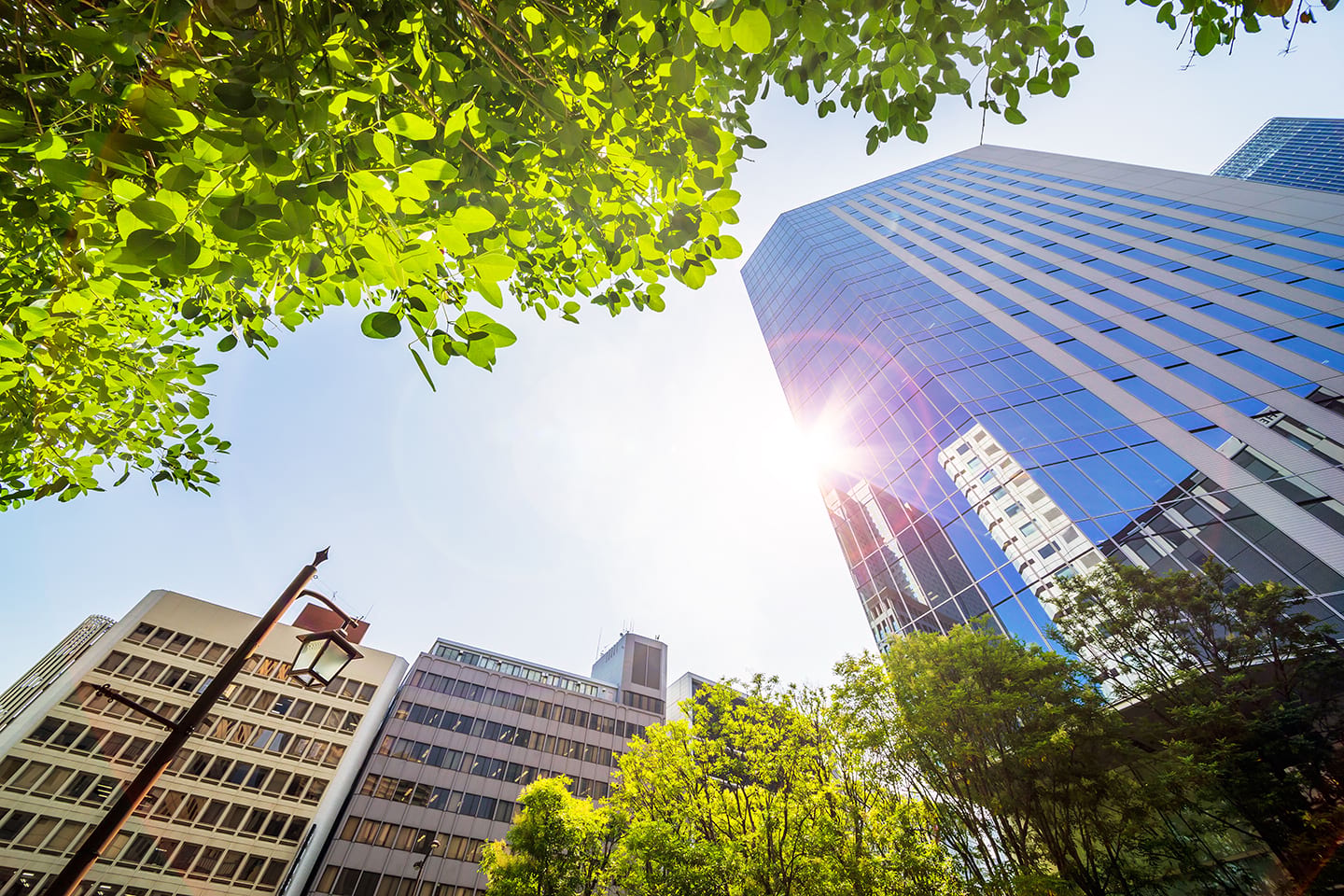 Launch of new Compliance Plan Early Adopters Scheme for buildings ...