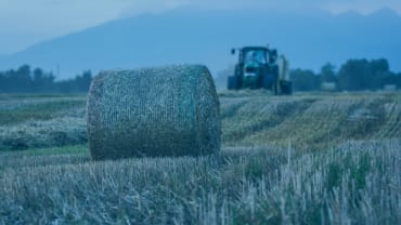 How are agricultural and rural business assets dealt with in separation and divorce?