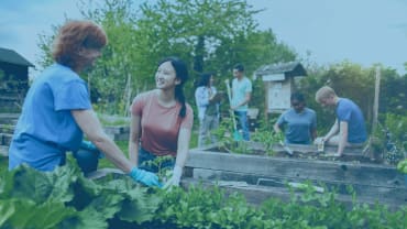 Allotments – local authority duties and responsibilities