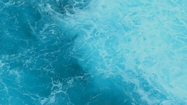From pipeline to procurement: MWIP, SROS and DPC