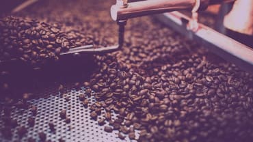 Food and drink labelling: New Year changes for British food & drink imports