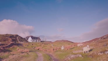 Relinquishment and Assignation of 1991 Act tenancies - Updated Tenant Farming Commissioner Guidance