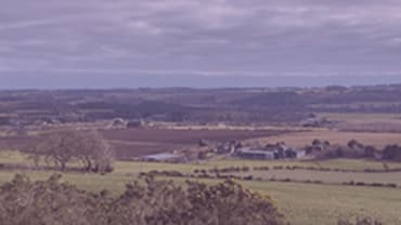 Programme for Government – Perspective from the Rural Sector