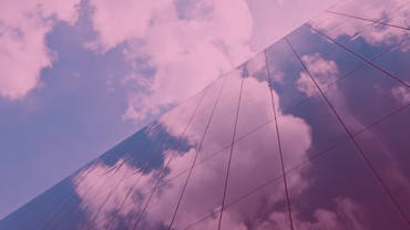 The new failure to prevent fraud offence – what do organisations need to do now?