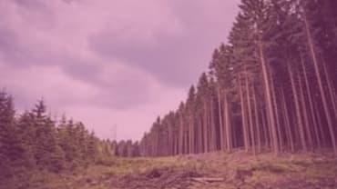 Community benefits from investment in natural capital – discussion paper