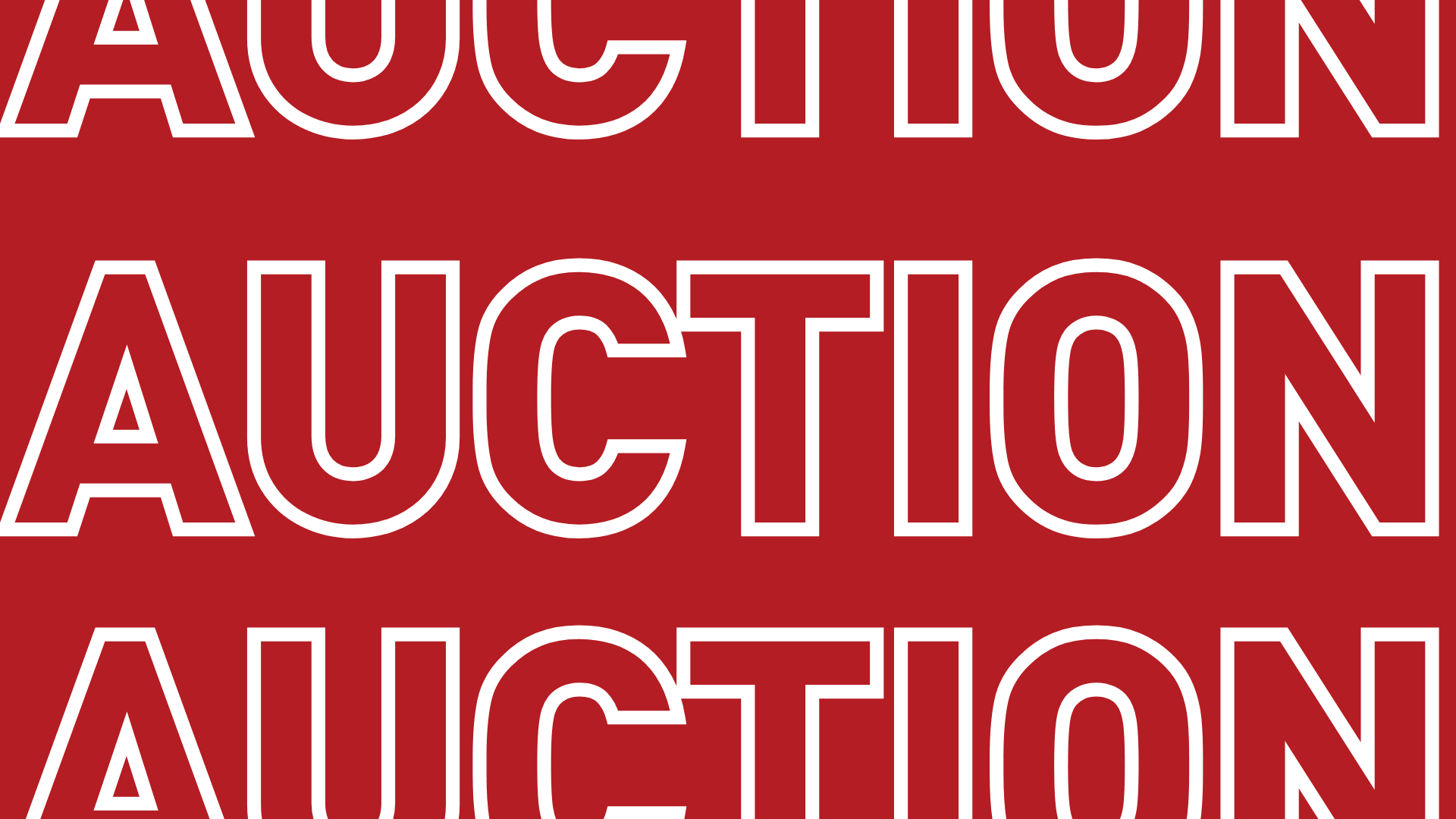 BDC Photo Auction Benefit