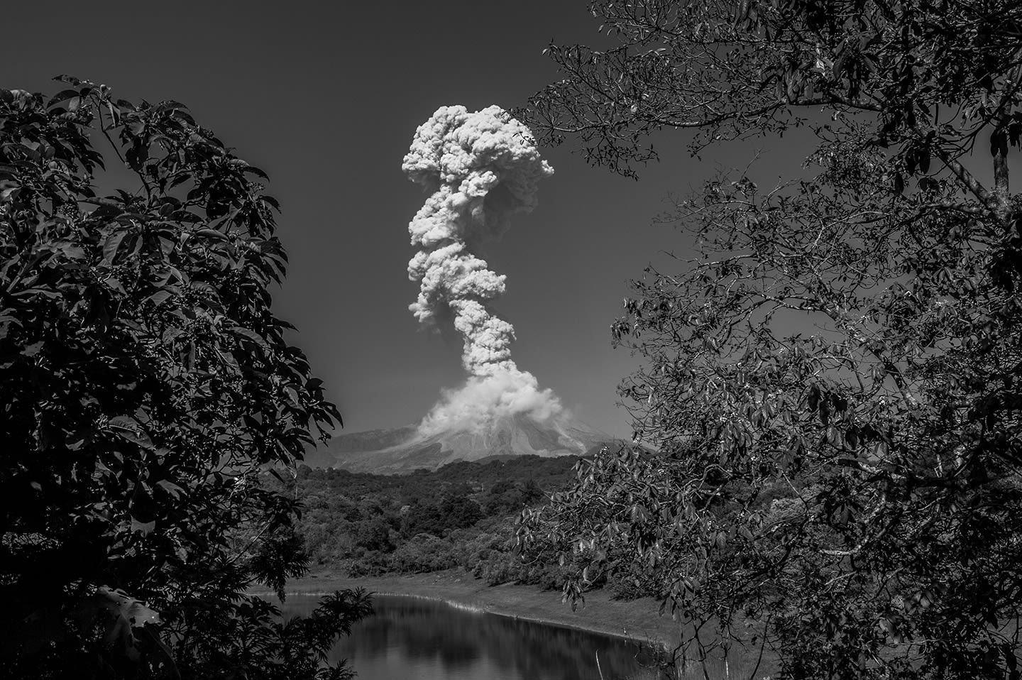 Latin American Foto Festival 