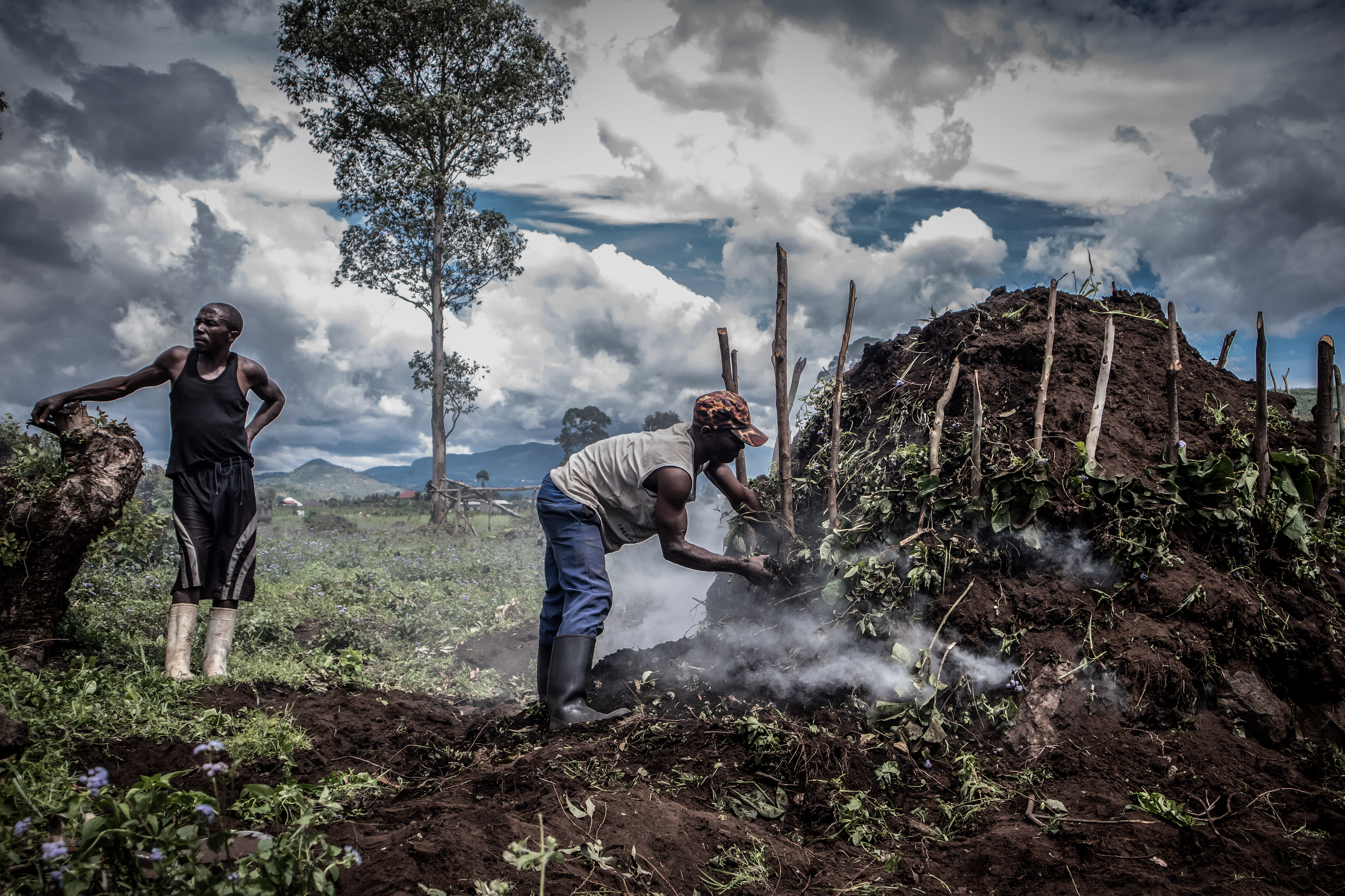 Congo in Conversation