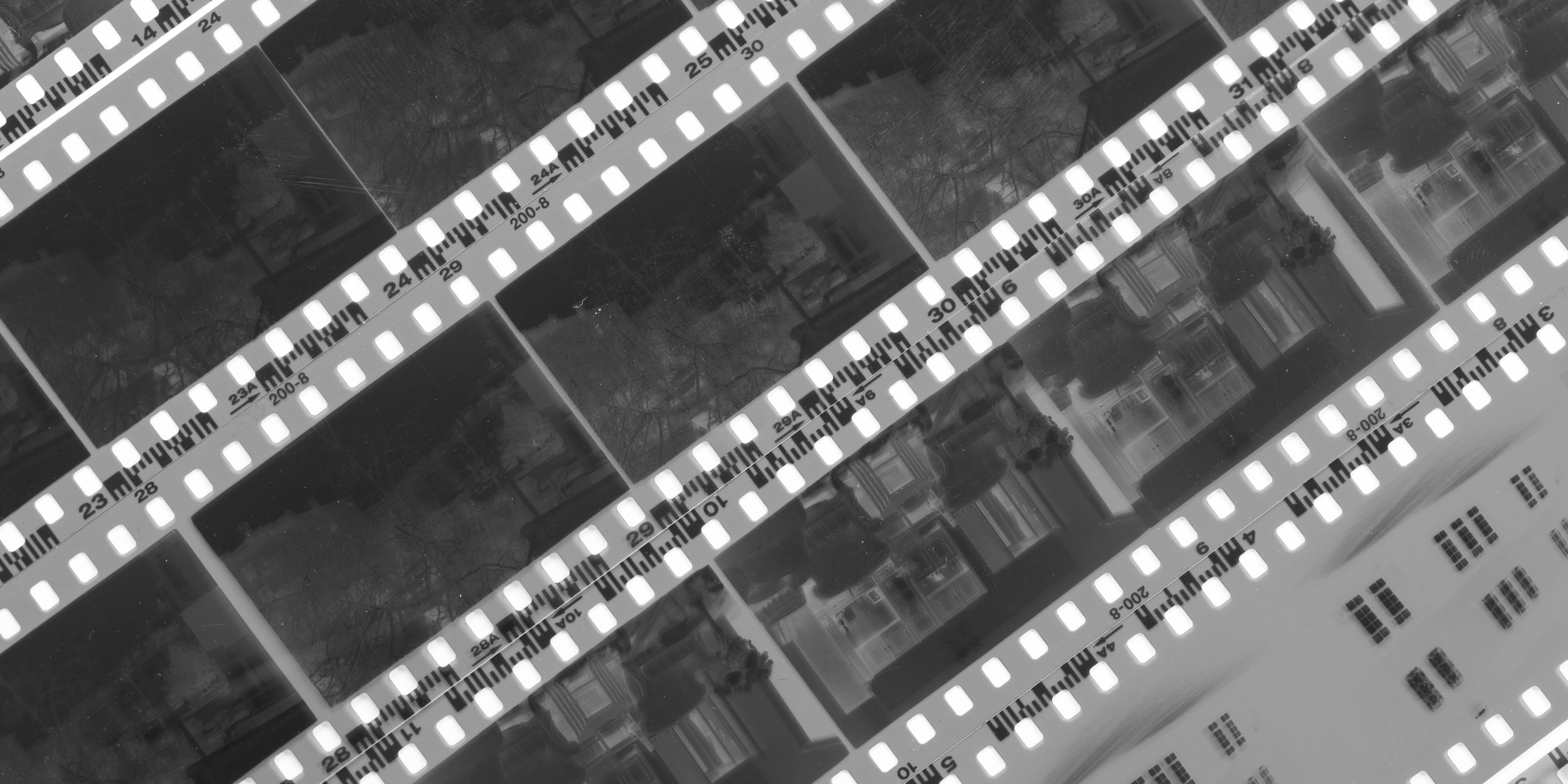 Introducción a la Fotografía Analógica