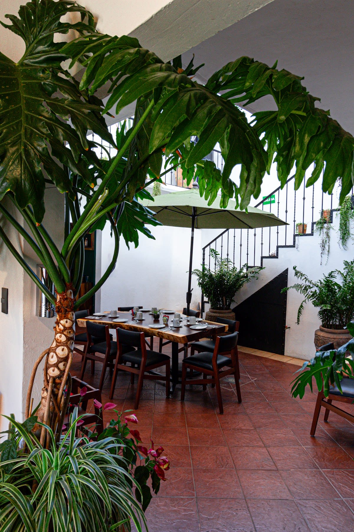 Mi Sal Restaurante in Barrio de Jalatlaco, Oaxaca