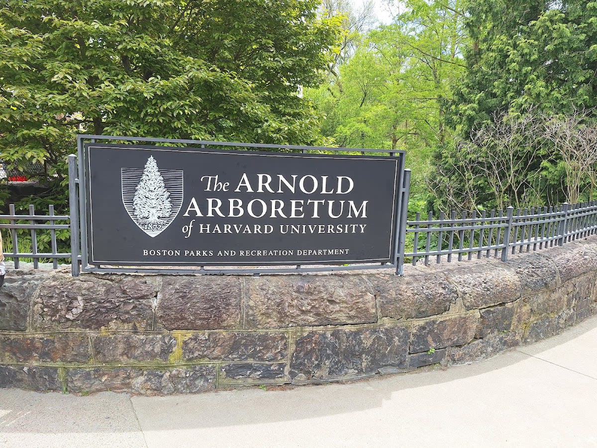 Arnold Arboretum in Jamaica Plain, Boston