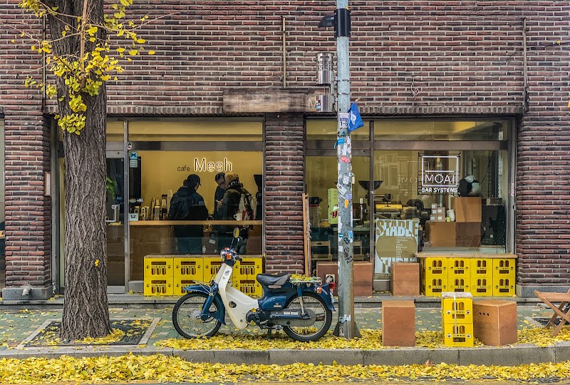 Mesh Coffee