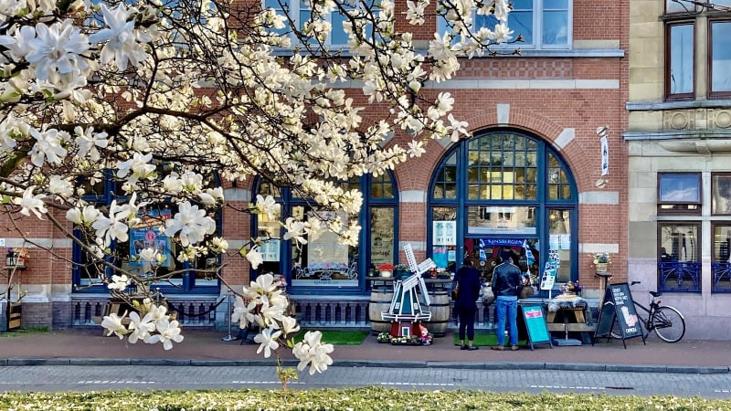 The Hague