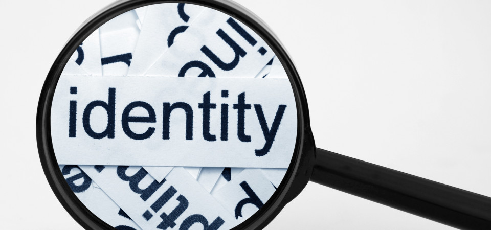 Bird Security Exoticdirect