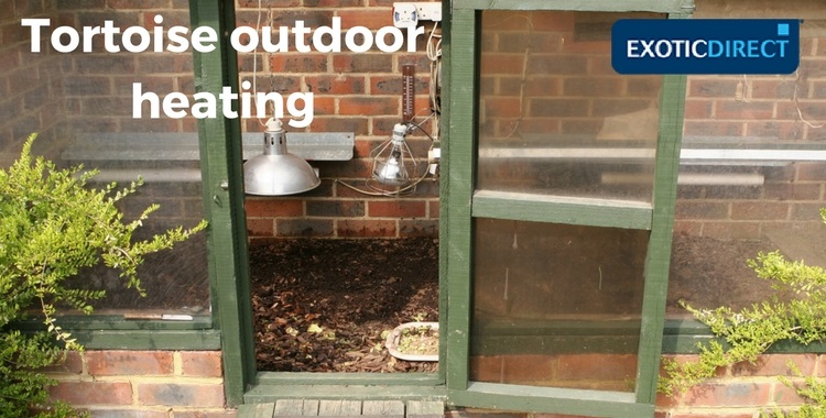 supplemental heating inside a tortoise enclosure