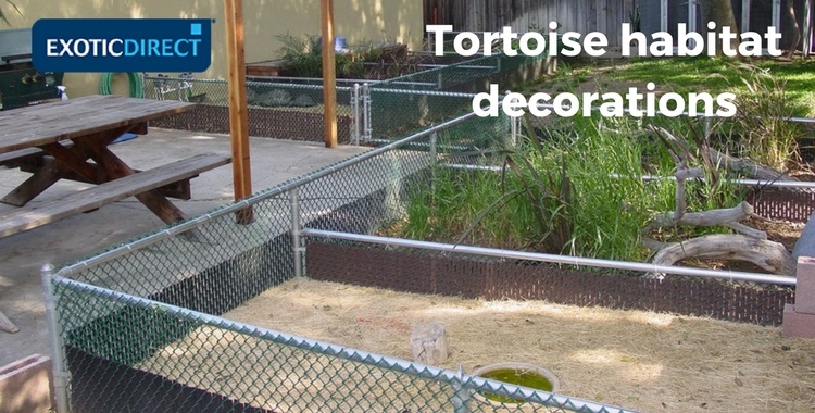 tortoise enclosures with different substrates