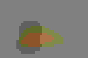 satin sheen finish options for live edge wood table top