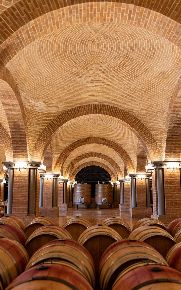 Brunello cucinelli solomeo hotsell