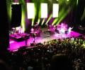 Ub40 : Heb me goed geamuseerd