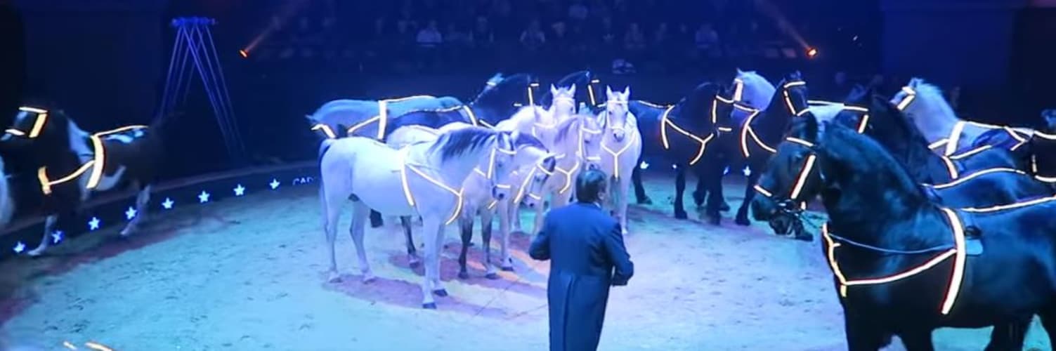 Wereldkerstcircus