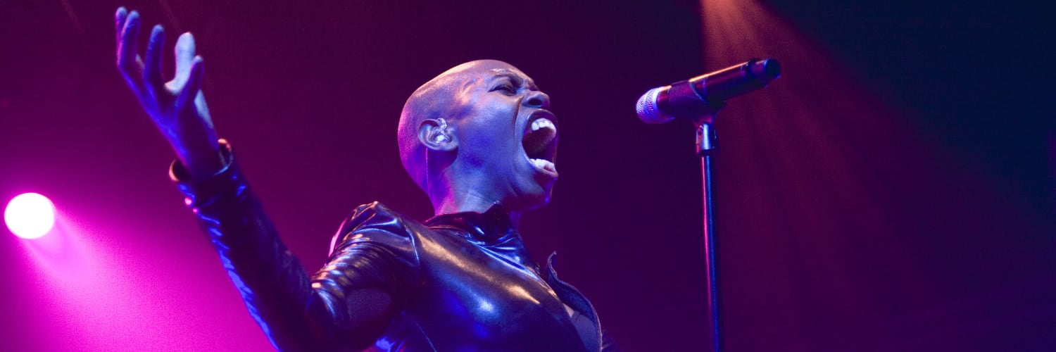 Skunk Anansie