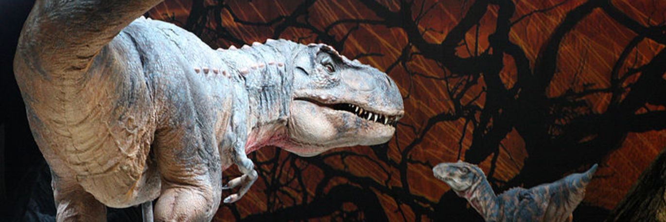 Artist image