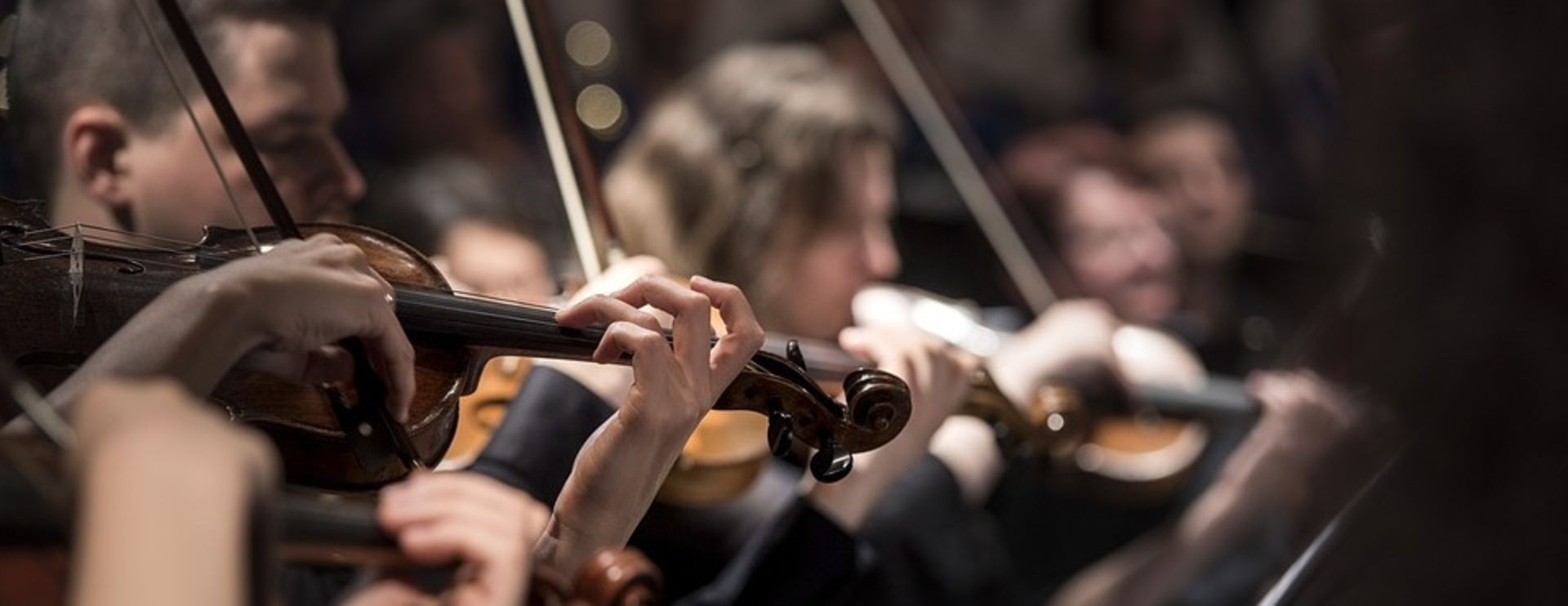 Harry Potter In Concert