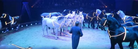 Wereldkerstcircus