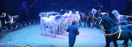 Wereldkerstcircus