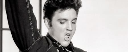 The Elvis Concert
